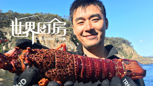 世界厨房第36集:新西兰黑金鲍鱼,竟然在海边随便一捞就一大把_高清