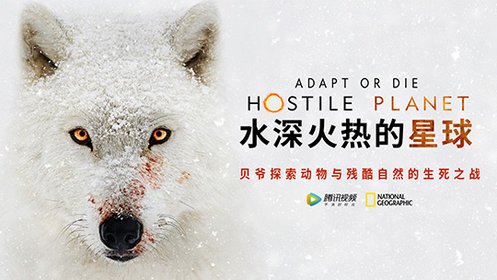 水深火热的星球[英语]
