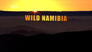 野性纳米比亚