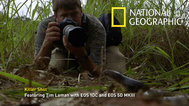 澳大利亚野地摄影任务封面