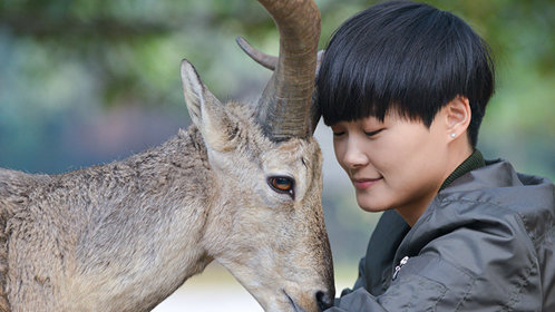 奇妙的朋友胡杏儿含泪讲coco让其变成妈妈理解饲养员辛苦