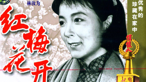 红梅花开