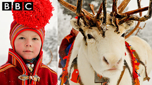 《bbc》驯鹿少女:萨米人是北欧最后的驯鹿牧民
