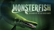 怪兽鱼系列封面