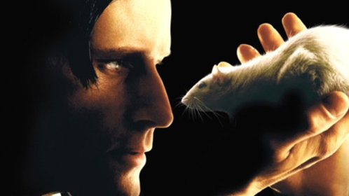 驭鼠怪人_电影_高清1080p在线观看平台_腾讯视频