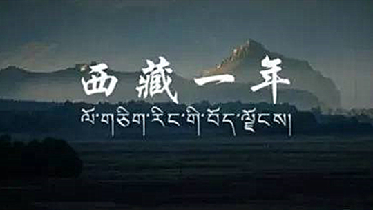 西藏一年封面