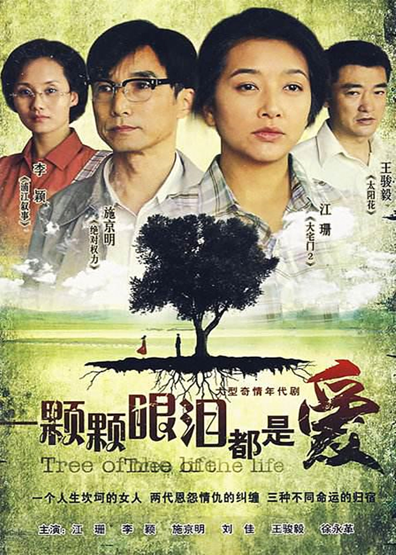 一颗颗眼泪都是爱(普通话/原版 /2008)电视剧