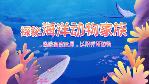 探秘海洋动物家族