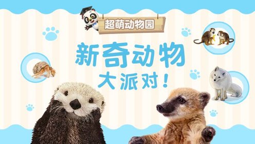 熊猫博士看世界：新奇动物大派对